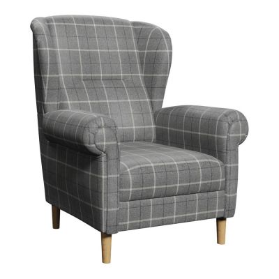 Fotoliu gri wing Swan âu0080Ropez