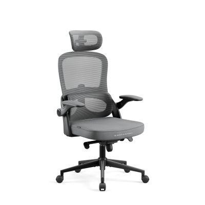 Scaun de birou Diablo V-Light: gri Scaun de birou Diablo V-Light: gri
