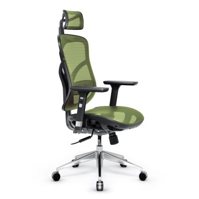 Scaun ergonomic Diablo V-Basic: negru-verde Scaun ergonomic Diablo V-Basic: negru-verde