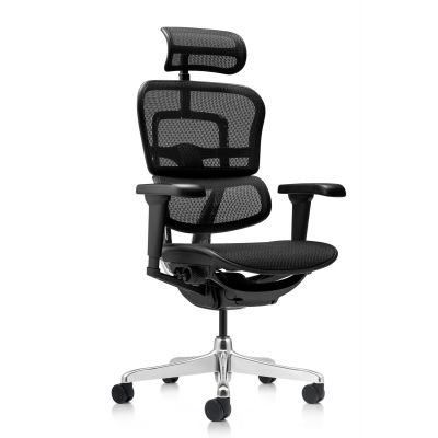 Scaun managerial Ergohuman - ergonomie premium si confort de top