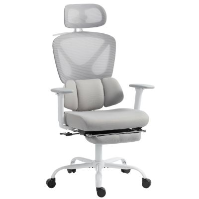 HOMCOM Scaun de birou ergonomic, fotoliu de birou cu suport lombar dinamic adaptiv, 73x75x120-128cm, gri | Aosom Romania