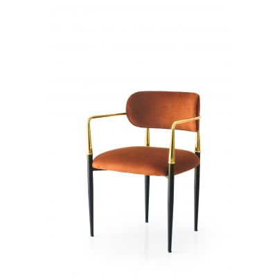 Set 2 scaune Bucatarie Sufragerie JN Chic Chair Set, 56 x 83 x 56 cm - Multicolor