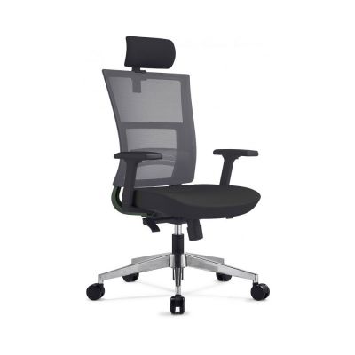 Scaun ergonomic cu tetiera Next Albastru