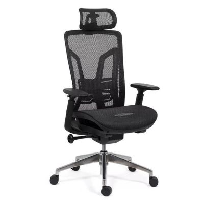 Scaun ergonomic multifunctional SYYT 9506 Gri