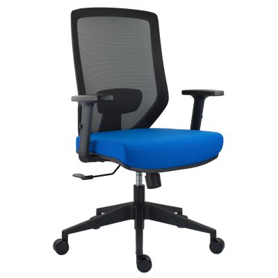 Scaun ergonomic J albastru