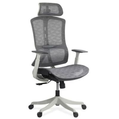 Scaun ergonomic multifunctional SYYT 9511