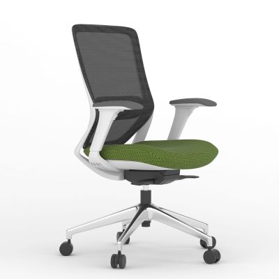 Scaun operational mesh Colin W Prasinuos
