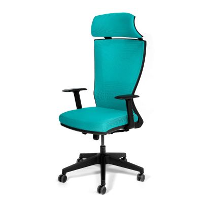 Scaun birou managerial turcoaz Kronsit Udine, tapiterie textila, rotativ, reglabil pe inaltime, 57 x 47 x 135 cm Scaun birou managerial turcoaz Kronsit Udine, tapiterie textila, rotativ, reglabil pe inaltime, 57 x 47 x 135 cm