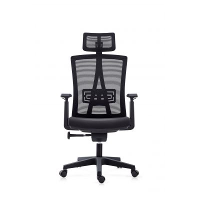 Scaun birou ergonomic Dacris Evo Plus Scaun ergonomic Dacris Evo Plus