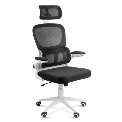 Scaun ergonomic pentru birou cu suport lombar si brate rabatabile OFF 432 negru