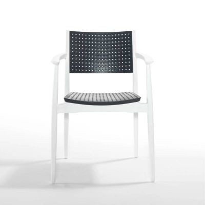 Scaun Novussi Seginus alb/antracit Scaun Novussi Seginus alb/antracit