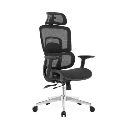 Ergodynamic Gary H - Scaun de birou - Full mesh - black, translatie sezut, brate 3D