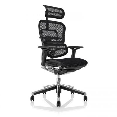 Scaun de birou - ERGOHUMAN Mesh Negru - precomanda 7-12 zile (Termen de livrare: 7 zile)