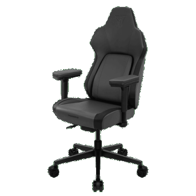 Scaun gaming ThunderX3 CORE Modern Ergonomic, Cotiere 4D, Mecanism SYNC6, Max 150 kg (Negru)