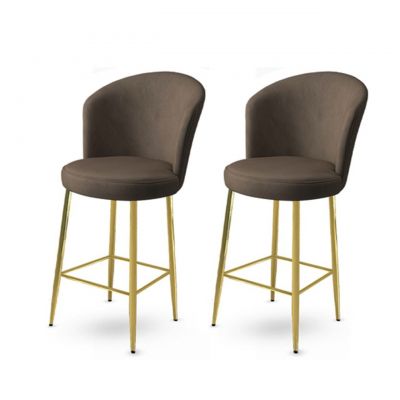 Set scaun de bar (2 bucăți), Charlotte, Fora, Metal, Antracit / Aur