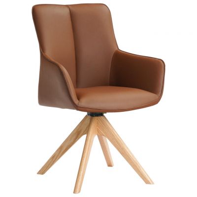 SCAUN CU BRAțE in coniac