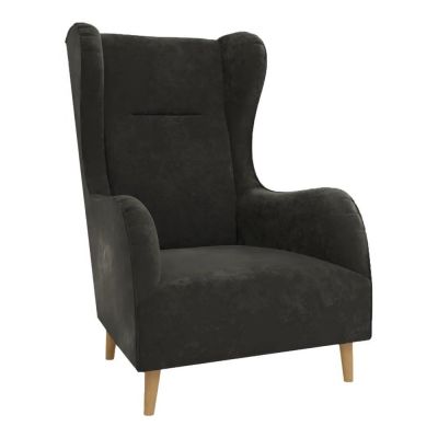 Fotoliu wing gri Ã®nchis cu tapiÈu009Berie din catifea Carole âu0080Ropez