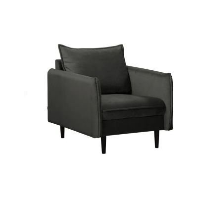 Fotoliu gri Ã®nchis cu tapiÈu009Berie din catifea Juli âu0080Ropez