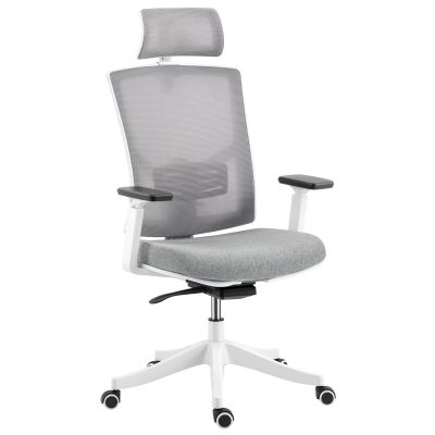 HOMCOM Scaun de Birou Ergonomic și Respirabil cu Suport Lombar Dinamic 4D, 64.5x62.5x112-122 cm, Multicolor | Aosom Romania