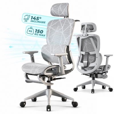Scaun Ergonomic de Birou, Reglaj Inaltime si Brate 2D/3D, Gri - Default Title